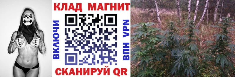 Где можно купить наркотики Выкса Кокаин  МЕГА ONION  Конопля 