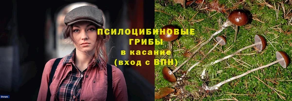 тгк Аркадак