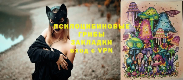 тгк Аркадак