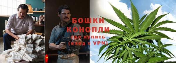 тгк Аркадак