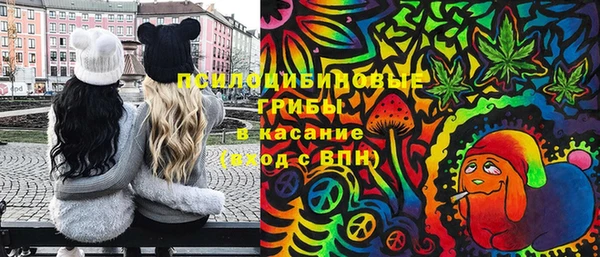 тгк Аркадак
