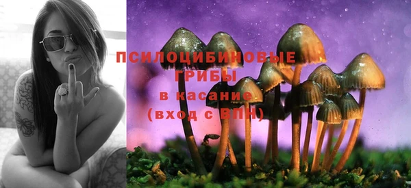 МДМА Арсеньев